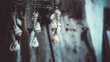 How to Create Seashell Wind Chimes