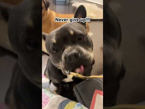 #shorts #shortsfeed #shortsviral