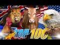 Top 100 national animal of the world  flags and countries name with national animal