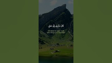 وهي تجري بهم في موج كالجبال | القارىء محمد نجيب | حالات واتس اب دينية قصيرة قران كريم تلاوة خاشعة