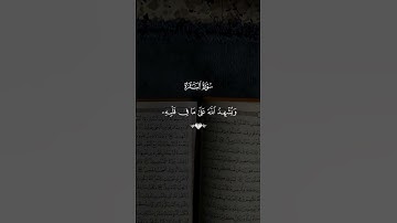 المنشاوى ❤️‍🩹 #قران_كريم #القرآن_الكريم #راحة_نفسية #تلاوة_خاشعة #اكسبلور #لايك #الرحمن #المنشاوي