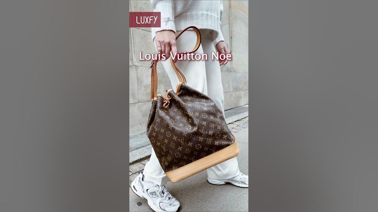 Louis Vuitton, Bags, Lv Noe Gm Organizer Insert Just Sharing