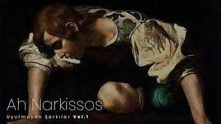 Ah Narkissos