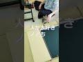 社交的な仔猫