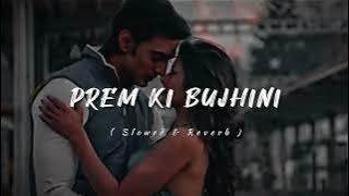 Prem Ki Bujhini ❤️ | LoFi Song ✨ | Paglu | Slowed and Reverb Song..