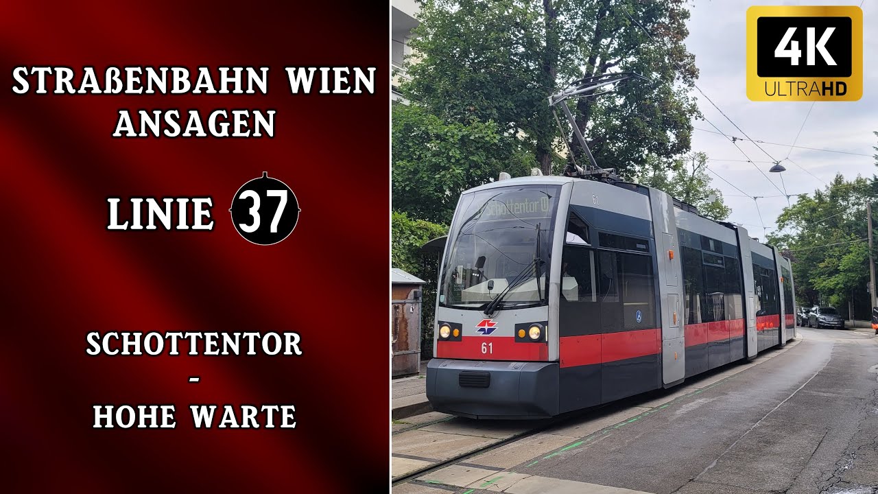 Linie 37 Wien Ansagen – Schottentor – Hohe Warte | Wiener Grantler
