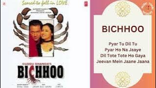 BICHHOO MOVIE ALL HIT SONGS || BICHHOO - 2000 || VARIOUS SINGER