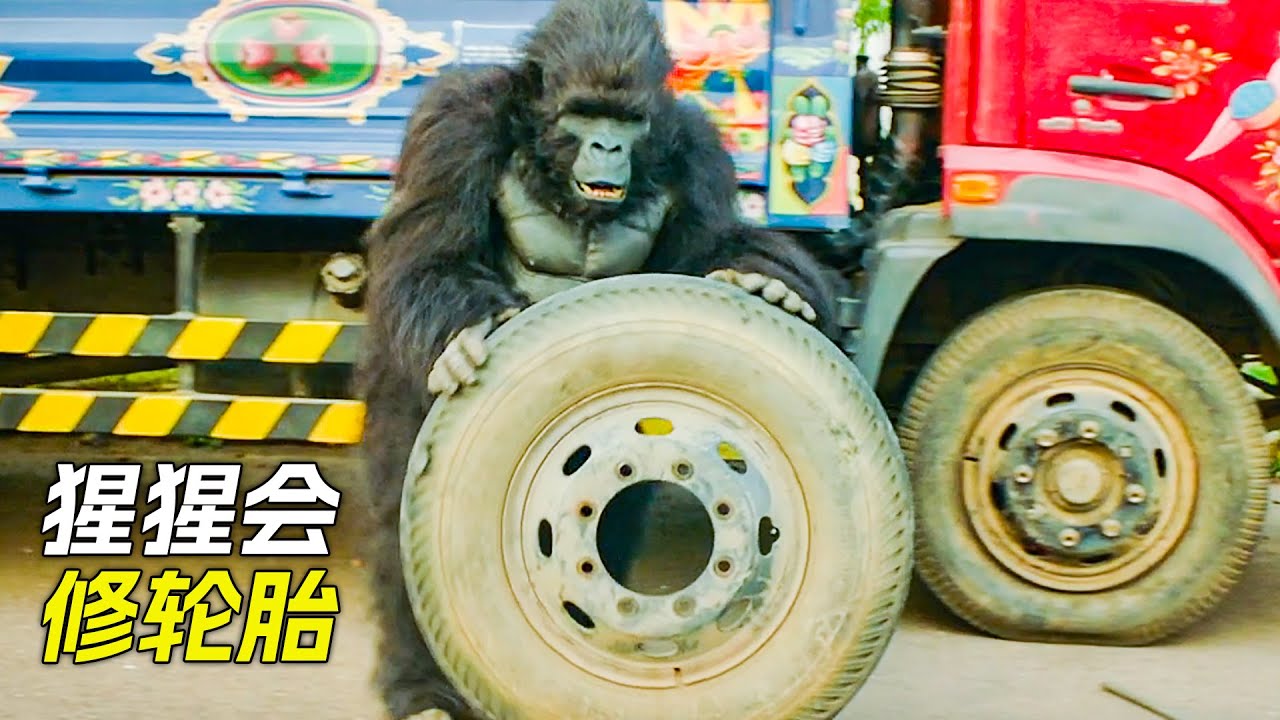 猩猩不僅會修輪胎，還會跳舞打架子鼓，科幻，奇幻，電影，解說，獵奇，懸疑，超能力，喜劇，搞笑
