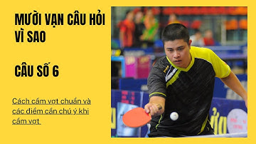 Số 6: Cách cầm vợt chuẩn và những điểm cần chú ý khi cầm vợt. | 10 vạn câu hỏi vì sao