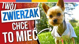 SPRYTNE BABKI - RZECZY DLA ZWIERZĄT