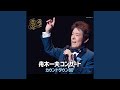 高原のお嬢さん(カウントダウン80' Live)