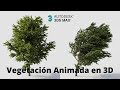 Vegetación animada en 3DS MAX y GrowFX