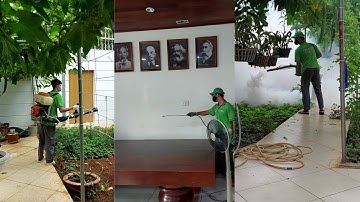 3 Cách Diệt Côn Trùng Hiệu Quả 2021 | An Sinh Pest Control | Thành Phố Hồ Chí Minh