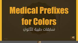 Terminology Lecture 4 Presentation | Concise Modules