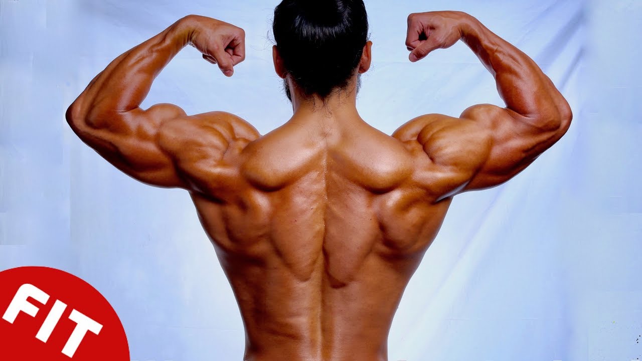 gymkhana TRAIN SMART FOR THE PERFECT BACK