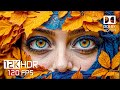 Nature’s Wonders in 8K HDR - Landscapes with Wildlife 4K 60FPS