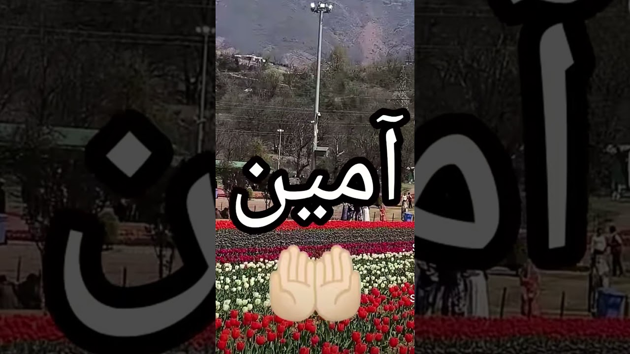 #🥀Ameen ❤️‍🩹💞                        #shorts #ytshorts #arabic #islamicvideo #trending
