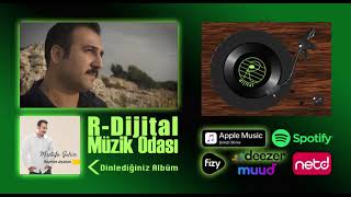 Mustafa Şahin - Hasretine Alışamam