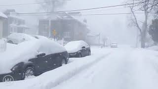 2021年2月1日2Mにも及ぶ積雪NY5年ぶりの大雪