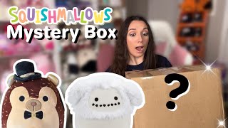 I cannot believe the RARE Squishmallows I got in this $30 Mercari Mystery box..