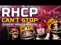 Red Hot Chili Peppers - Can&#39;t Stop (cover by Prime Orchestra)
