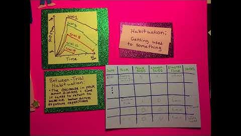 ERP for OCD: When to Move Up to a New Hierarchy Task