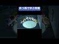 ㊗️100万再生㊗️あつ森で学ぶ常識 #shorts