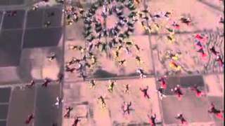 SkydivingDeaths.com - Diana Paris