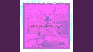 Fiery Music for Relaxing Doggies