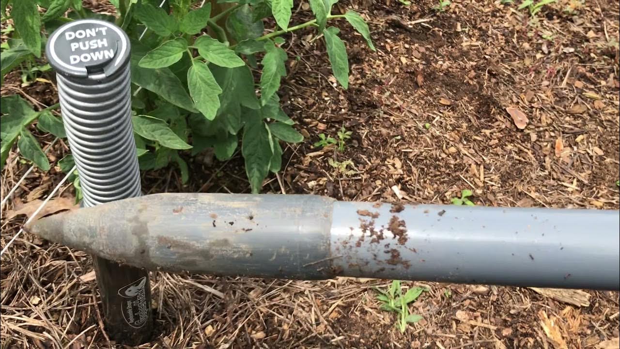 CATCHING GOPHERS WITH (GOPHER HAWK) YouTube