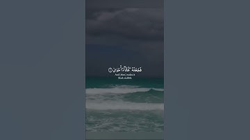 #عبدالرحمن_مسعد#تلاوات #القرآن_الكريم #تلاوة_خاشعة #القرآن #آيات #تلاوة #quran #قرآن#قران_كريم#ترند