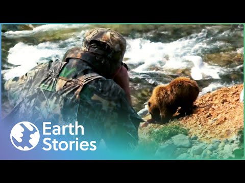 HOW TO SURVIVE GETTING UP CLOSE TO BROWN BEARS | RISK TAKERS
