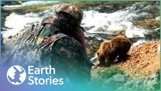 HOW TO SURVIVE GETTING UP CLOSE TO BROWN BEARS | RISK TAKERS