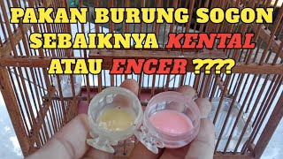 Pakan yang bagus untuk burung sogok ontong/sogon