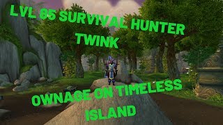 Level 85 Survival Hunter V2 Worldpvp Pandawow 5.4.8