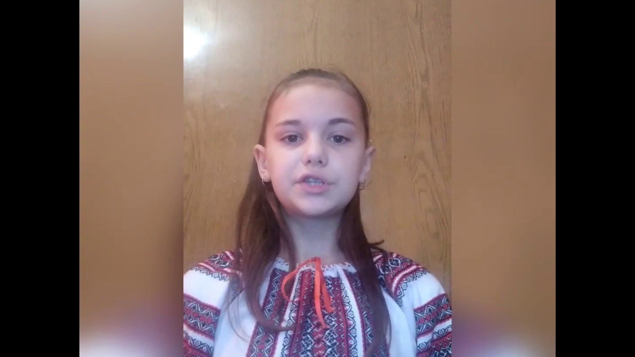 Лев шевченко маркетплейс отзывы Лев шевченко маркетплейс отзывы купить женскую куртку демисезонную на валберис