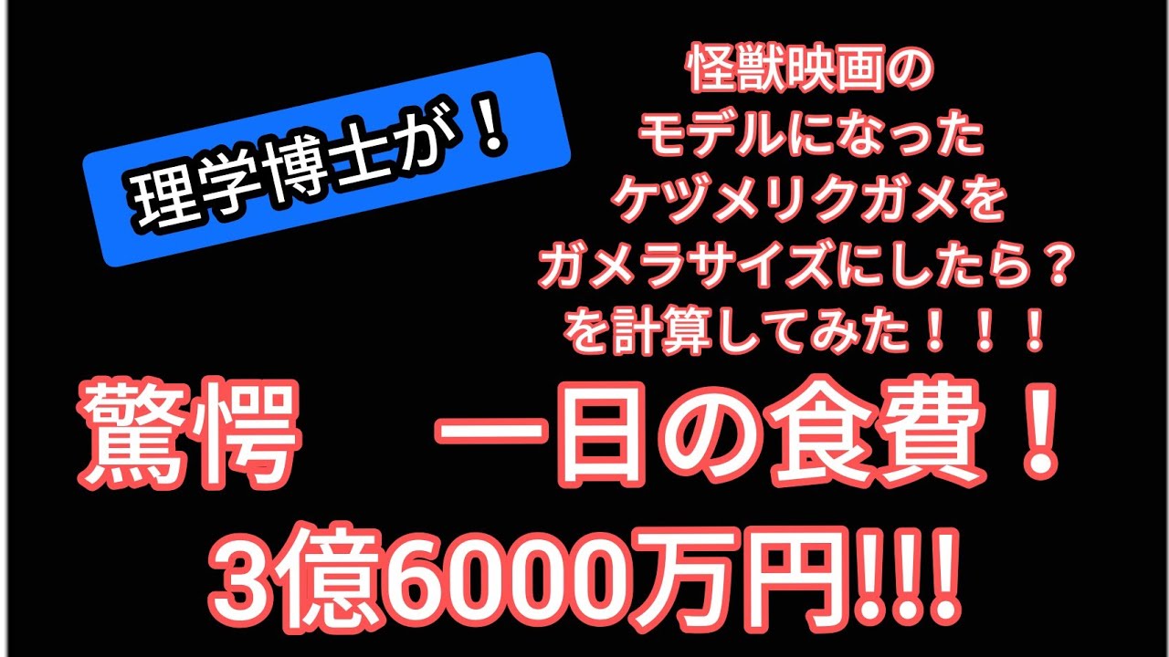 桂浜水族館コラボ Drタージー怪獣映画 ガメラ のモデルのケヅメリクガメ 理学博士がケヅメリクガメの情報を元にしてガメラサイズになったら を計算してみた Youtube