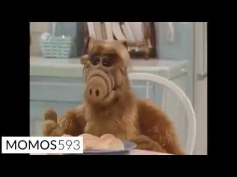 El herpes de Alf y el cachero milagroso @momos593