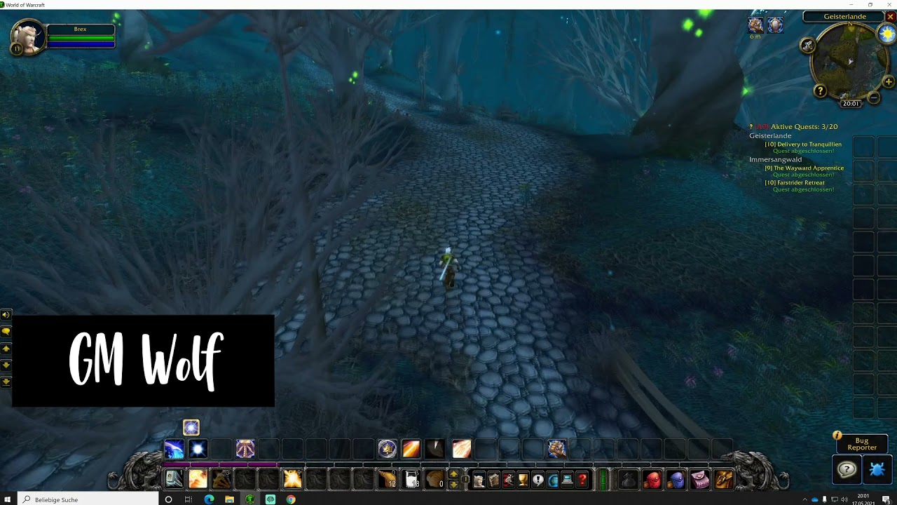 Zustellung nach Tristessa | WoW TBC Horde Quest | GM Wolf | WoW TBC