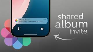 Where to See Shared Album Invite iPhone (explained)