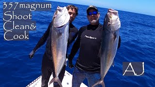 Spearfishing AMBERJACK in the Gulf of Mexico