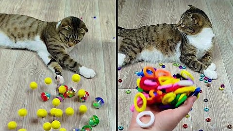 Satisfying Reverse Video ASMR 💥 Marble Run and More