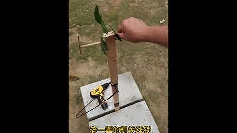 Homemade mouse trap | the most effective simple homemade rat trap #85