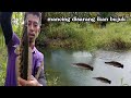 Jangan salah pilih spot sarang ikan bujuk !!!