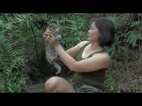 Survive in the Forest - Rescue stranded Kittens - Harvest forest fruits | Harvest Life