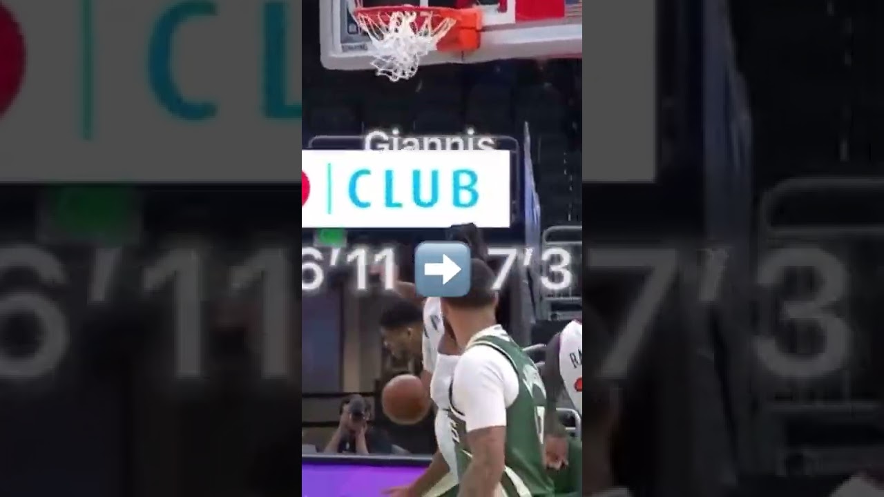 IF NBA PLAYERS WINGSPAN WAS THEIR HEIGHT🥷 