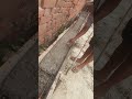 #construction #youtubeshorts