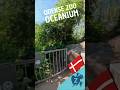 Odense Zoo - Oceanium #zoo #odensezoo  #dierentuin #manatees   #dierenpark #tropical  @ZooOdense ​