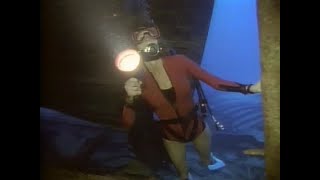Female Scuba Divers Looking At Sea Life 1980S