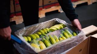Merchandiser Training Corner // Bananas